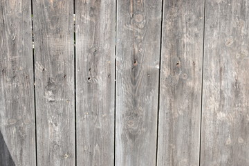 Background of three wooden boards with knots. Brushed boards with nails and knots of natural color. Textured wooden wall.