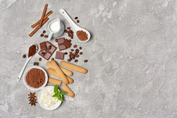 Obraz na płótnie Canvas Top view on ngredients for italian dessert tiramisu cake