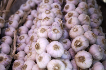 Garlic in greengrocer