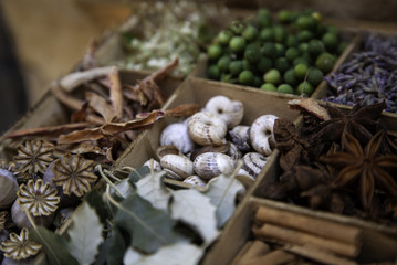 Herbs and medicinal plants