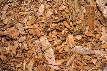 Background from the remains of wood scattered on the ground.