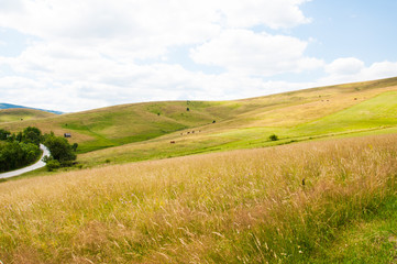 Beautiful natural landscape in the summer time.Mountain