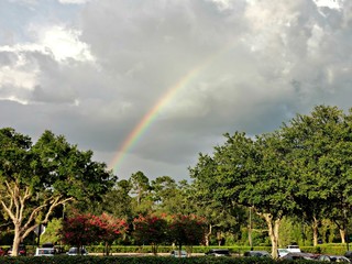 rainbow over field