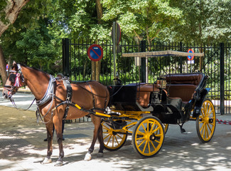 Horse carriage in Seville, Andalusia, Spain