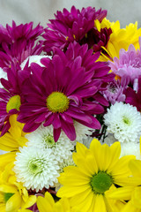 A pretty springtime bouquet of colorful flowers is delightful, nviting and joyful. Bokeh effect.