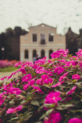 Fototapeta na wymiar Jardim rosa