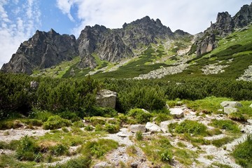 Interesting rocky scenery as you climb the hiking trail to the Skok waterfall in the High Tatras.