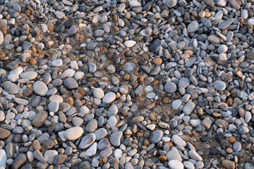 sea stones