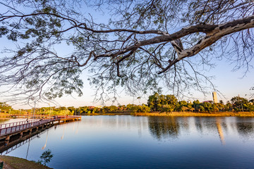 Sao Jose do Rio Preto City. View of lake park at sunset