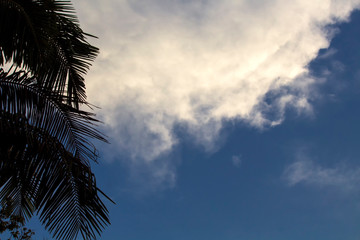 C&eacute;u & Nuven IMG_5563