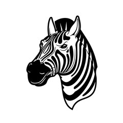Fototapeta premium Zebra animal head, black and white african horse