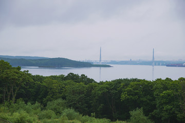 Rocky coast of the Pacific ocean with green vegetation in the fog