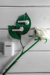 Headphones on white wooden background. Air Headphones wis white Rose. Romantic symbol.  - obrazy, fototapety, plakaty
