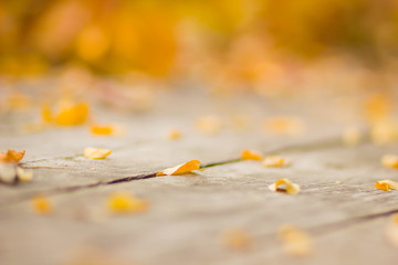 Yellow leaves on wooden boards. Colorful leaves on a blurred background. Autumn pattern. Creative copy space