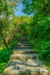 Obraz premium Stairs surrounded by trees