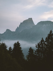 Mountain peak above the cloud inversion and forest foreground