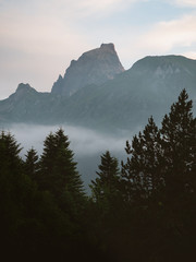 Mountain peak above the cloud inversion and forest foreground