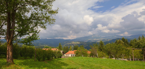 Fototapety na wymiar - Fototapeta24.pl