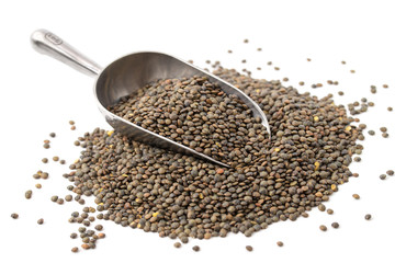 Grüne Linsen aus Le Puy