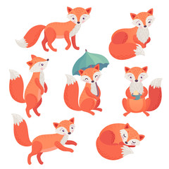Fox set hand drawn style. Cute