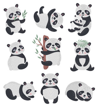 Panda set hand drawn style.