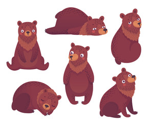 Bear set hand drawn style.