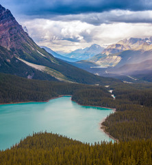 peyto lake canada