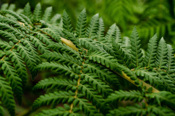 close up of colorful flower in bright day