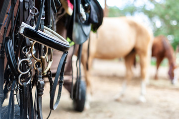 Closeup of horse equipment with blurred horses on the back