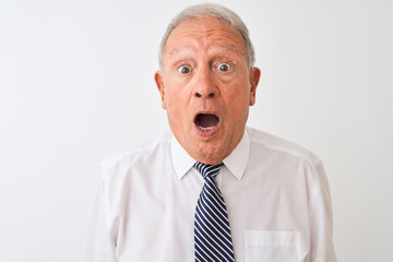 Senior grey-haired businessman wearing tie standing over isolated white background scared in shock with a surprise face, afraid and excited with fear expression