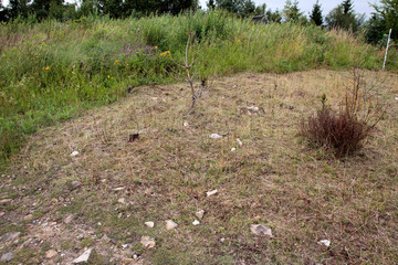 Naturschutz am Eggeturm auf der Velmerstot duch Ziegen und Schafe