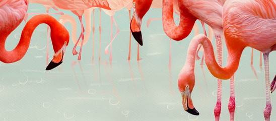 Flamingos. Design element, creative banner © pronoia