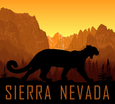 Vector Sierra Nevada Range Mountains  With Puma Cougar (Puma Concolor) Or Mountain Lion 