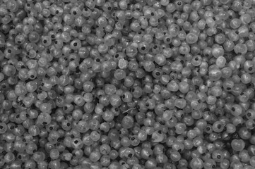 small ripe and juicy currant berries