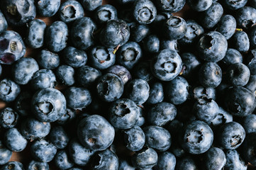 Ripe and juicy blueberries