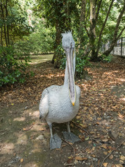 Pelican poses for the photographer on background of trees. Park Arboretum