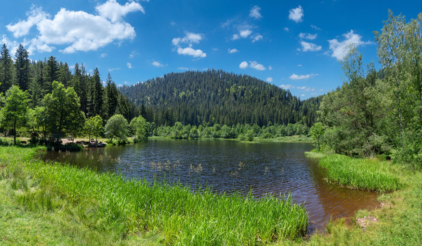 Sankenbachsee bei Baiersbronn im Schwarzwald, Deutschland