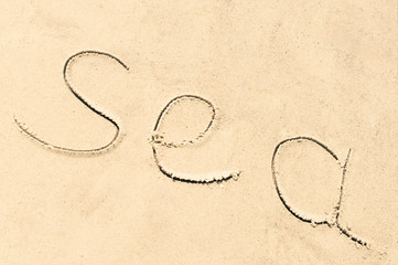 " Sea " word is written by hand on the beach sand. vacation time at sea