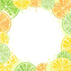 Citrus Watercolors Fresh Summer Frame Vector Design