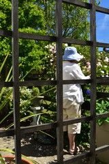 Woman gardening and pruning in urban landscape garden with hat