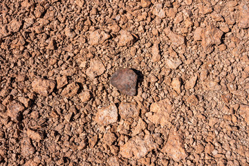Chondrite Meteorite L Type, a piece of rock formed in outer space in the early stages of Solar...