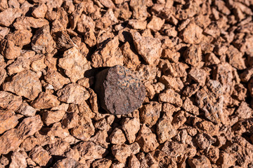 Chondrite Meteorite L Type, a piece of rock formed in outer space in the early stages of Solar...