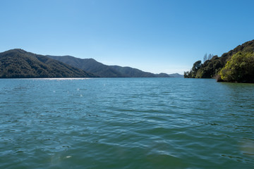 Coastal scenery in the beautiful Marlborough Sounds in New Zealand