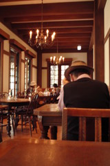 植物、きのこ、夏、影、陰影、虫、花、カフェ