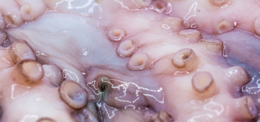 Escribir para añadir, dejar en blanco para borrar