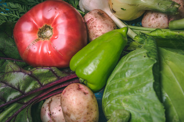 Tomato, cabbage, onion, potato, pepper, garlic, carrot and beetroot. Vegetables in a basket on a blue background. Copy space. Healthy food.