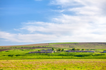 Fototapeta na wymiar farmland landscape with green meadow