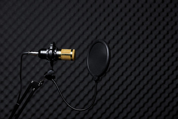 Microphone Condenser, gold mic with filter hang over sound absorbing wall room in dark audio...