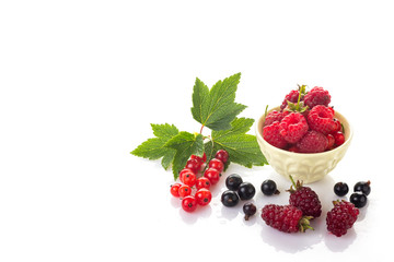 A group of fresh berries. Red and black currants with green leaves, raspberries in a bowl and  loganberry isolated on white background