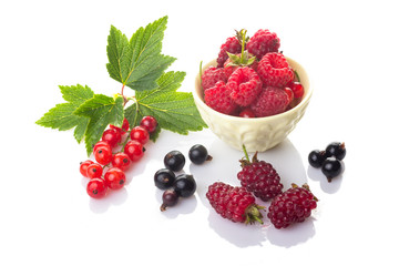 A group of fresh berries. Red and black currants with green leaves, raspberries in a bowl and  loganberry isolated on white background